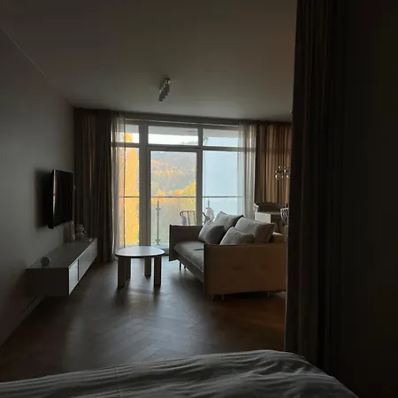 Pod Debowcem Comfort 아파트 *